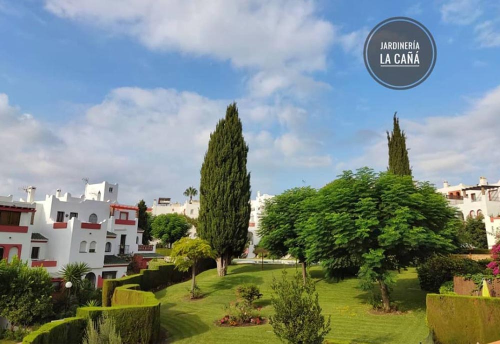 Jardinería La Cañá jardín con árboles